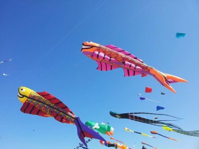 Festival Internazionale dell'Aquilone