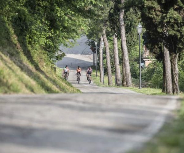 Terre-Triathlon