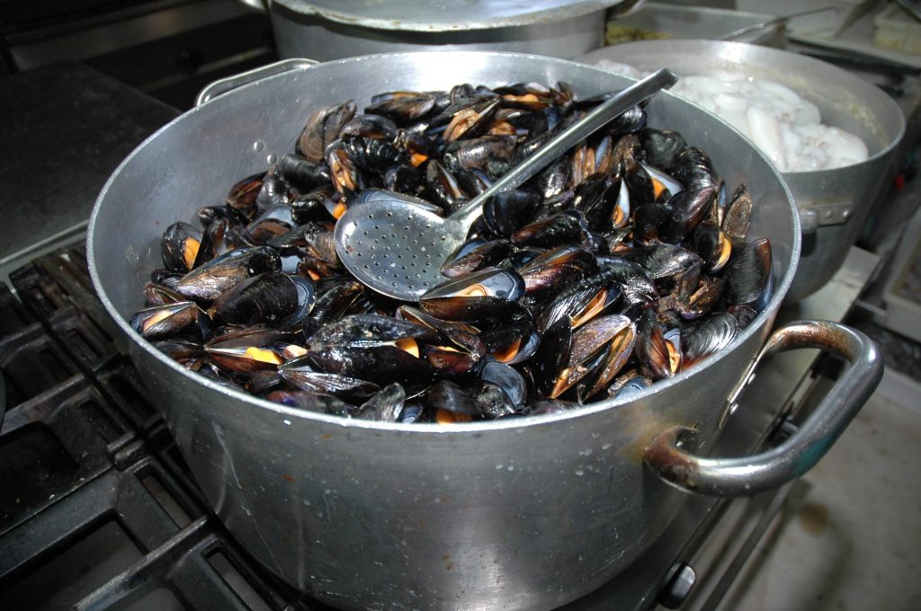 Mussels Festival