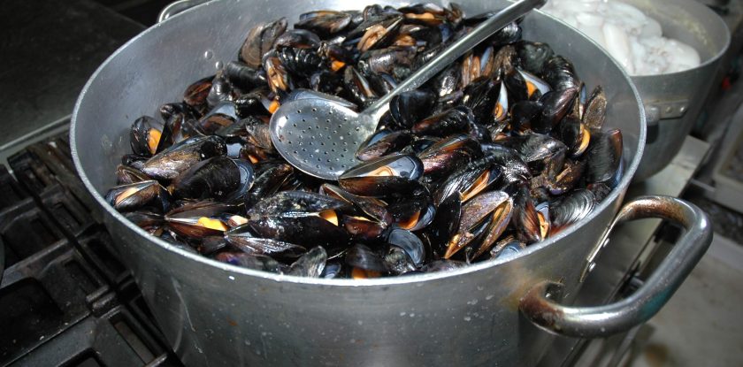 cozza mussels muscheln