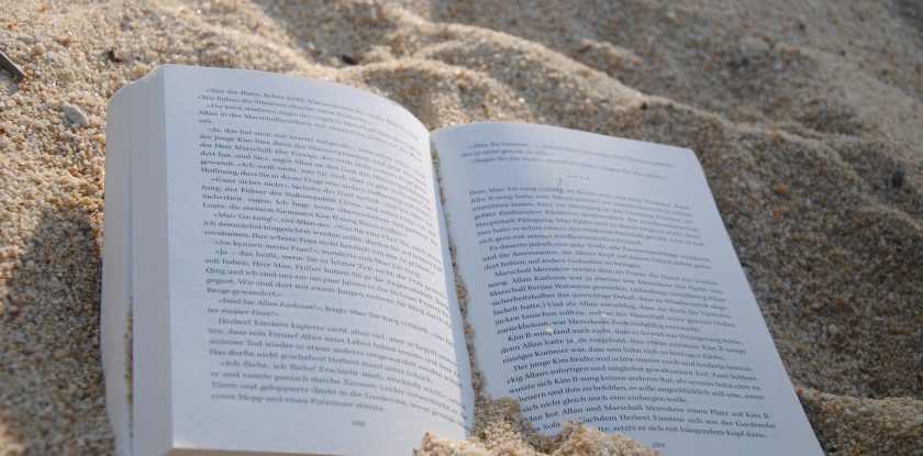 spiaggia libro book buch