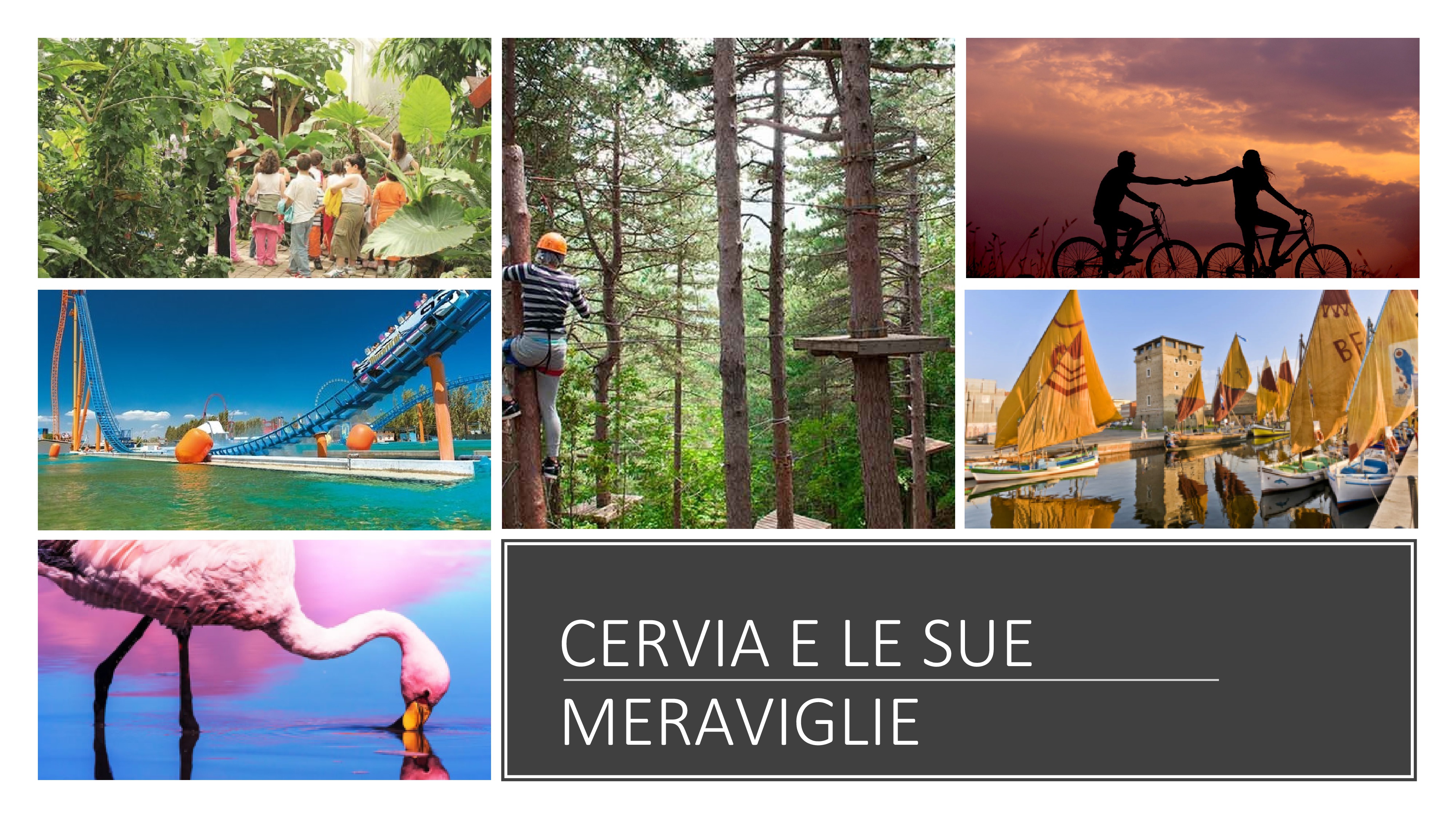 What to do in cervia